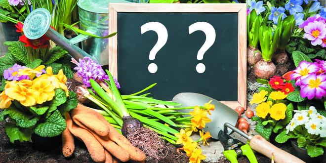 blog-kan-ik-het-dak-van-mijn-veranda-gebruiken-als-terras-of-daktuin
